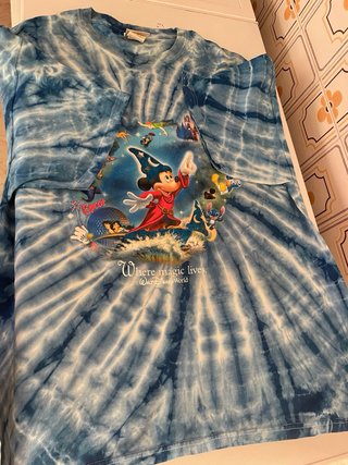 Camiseta Vintage Walt Disney World