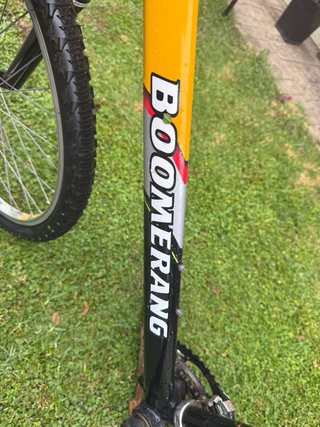 Bicicleta Montaña Boomerang Forest