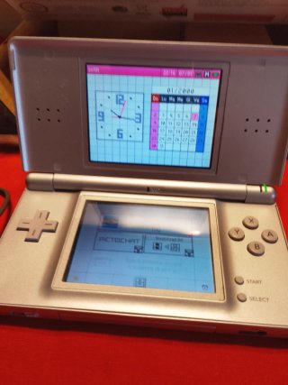 Nintendo DS Lite Argento/Bianco
