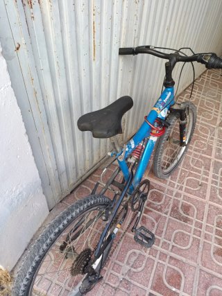 Bicicleta