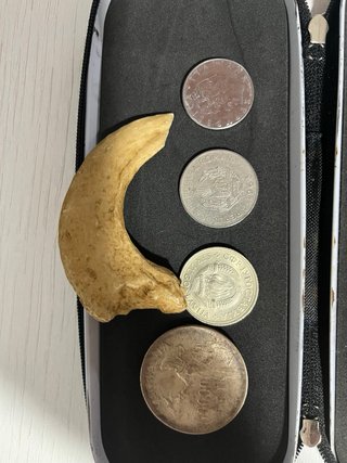 Estuche Coleccionista Monedas Antiguas