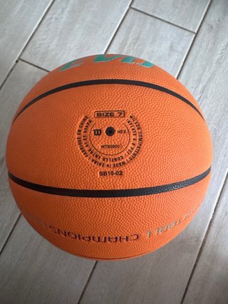 Balón Baloncesto Wilson EVO FIBA