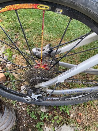 Bicicletta MTB Giant