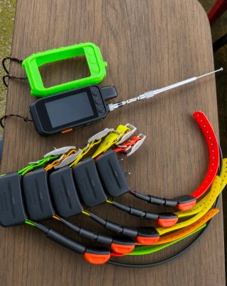 Garmin alpha 200 y 5 collares