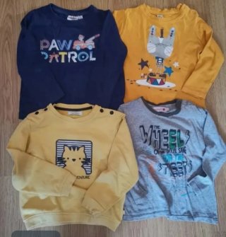 Lote Ropa Niño 12-18-Meses Sudaderas, Camisetas