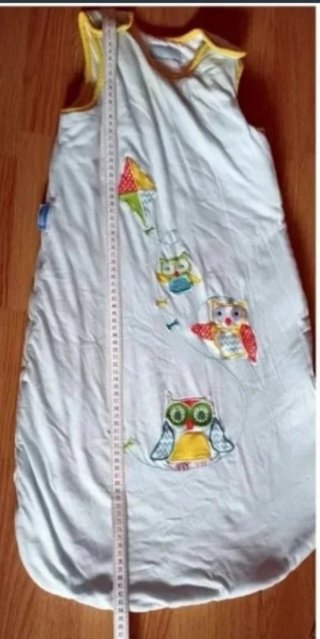 Lote Ropa Niño 12-18-Meses Sudaderas, Camisetas