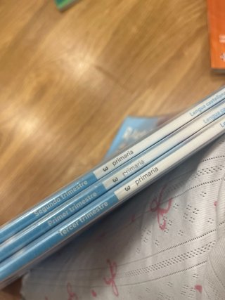LIBRO LENGUA CASTELLANA Y LITERATURA 3 PRIMARIA
