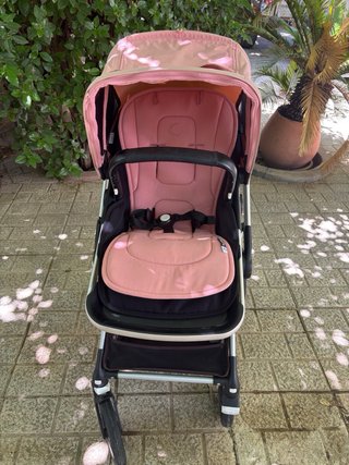 Lote Bugaboo fox.