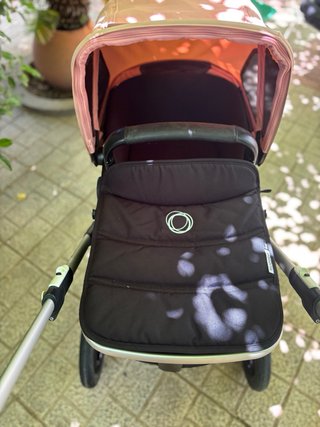 Lote Bugaboo fox.