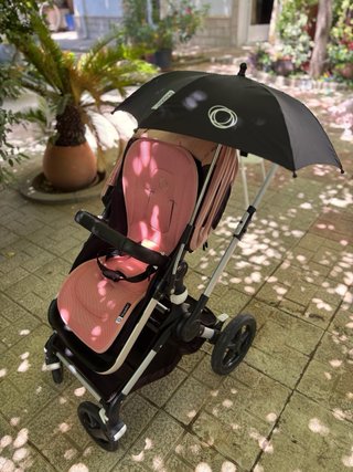 Lote Bugaboo fox.