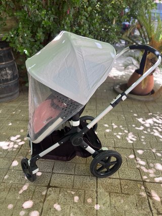 Lote Bugaboo fox.
