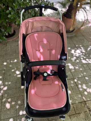 Lote Bugaboo fox.