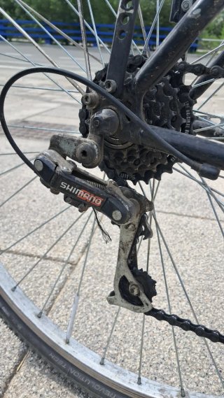 Bicicleta BH Boston Trekking