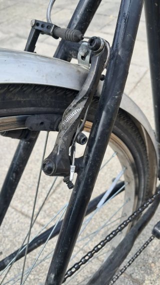 Bicicleta BH Boston Trekking