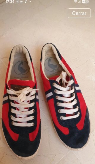 Zapatillas El Ganso Rojas y Azules