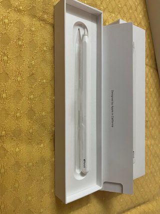 iPad Pro 12.9” 5ª Gen (Chip M1) + Apple Pencil 2