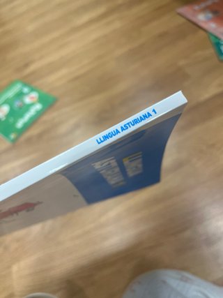 LIBRO LLINGUA ASTURIANA 1 PRIMARIA