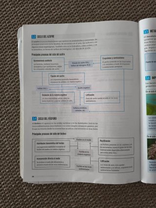 Proyecto: FanFest - Biología, Geología y Cienci...
