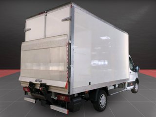 Camion 3500kg carnet B con trampilla Ford Transit