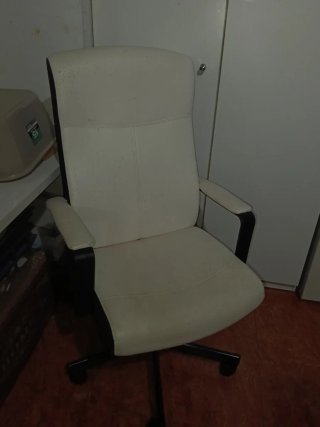Silla de oficina de piel