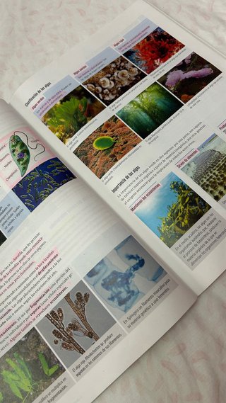 Libro biologia y geología 1 ESO fanfest edelvives