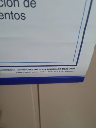 Lámina Anatomía Sistema Nervioso Edigol