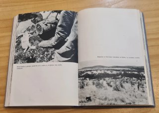 El Libro de la caza menor, Miguel Delibes