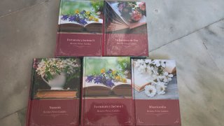 5 libros de Benito Pérez Galdós, aparentemente nue