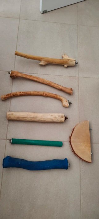 Perchas para loro (madera y forradas)