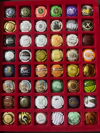 Lote 48 placas de Cava Colección