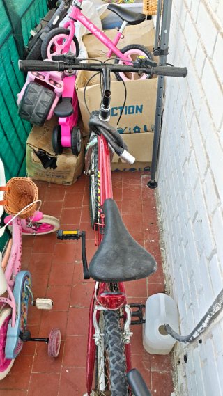 Bicicleta de adulto roja