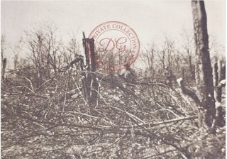 Postal WWI Bois des Caures 1916 Driant