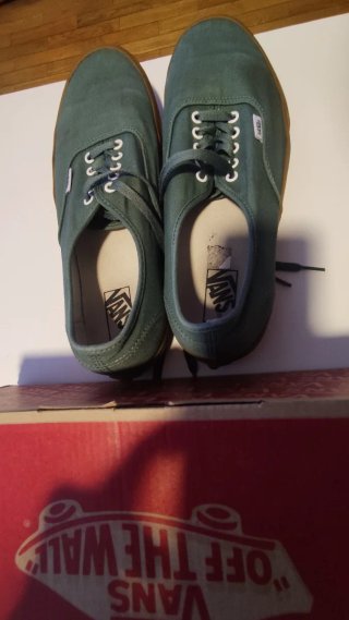 Vans Authentic Talla 46 Marrón/Verde