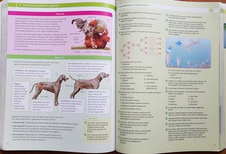 BIOLOGIA, GEOLOGIA ETA INGURUMEN ZIENTZIAK 1 BT...