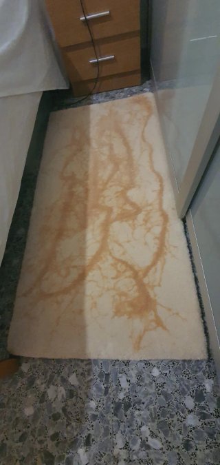 Tappeti Beige e Marrone