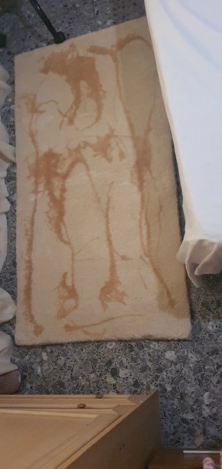 Tappeti Beige e Marrone