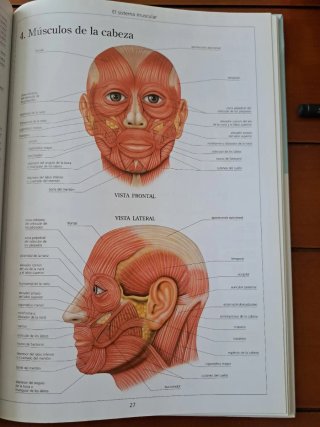 Atlas de anatomía