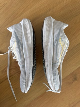 Nike Pegasus 40 – EU 43 – Original