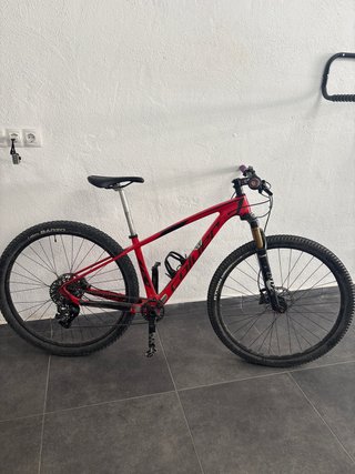 Bici carbonio Coluer Poison Monoplato Fox