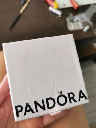Pulsera Pandora de plata con charms