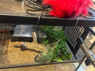 Terrario para reptiles equipado
