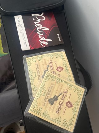 Violín Carlo Giordano + 3 juegos de cuerdas