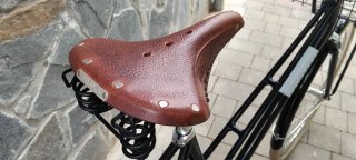 Bicicleta de paseo holandesa