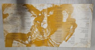 Vinilo Los Locos - Algo Salvaje