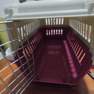 Transportín de plástico resistente, ideal viajes