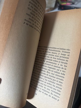 Tutankhamon: El faraón de oro - Michael Carter