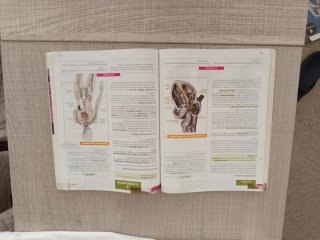 Anatomía aplicada, 1 Bachillerato