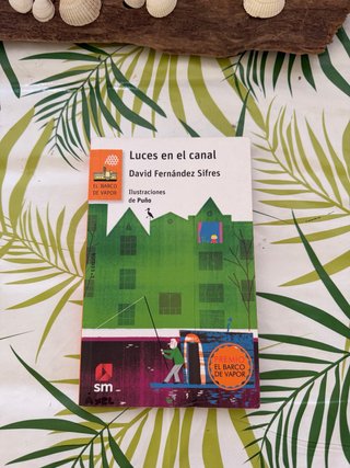 Libro de lectura SM