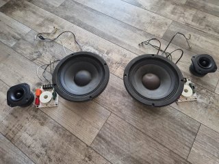 Altavoz Beyma medio 8 pulgadas y tweeter