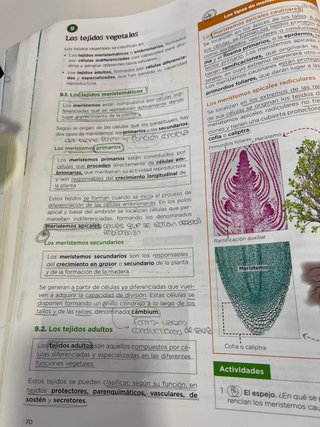 Biología, Geología y Ciencias Ambientales 1 Bac...